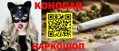 спайс Гай
