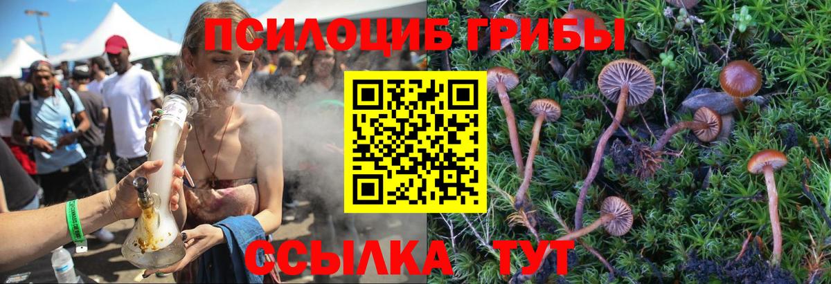 Галлюциногенные грибы мухоморы Волгодонск