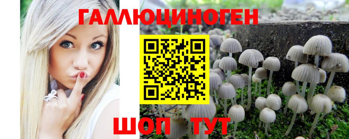 Волгодонск  Галлюциногенные грибы мухоморы  Вход с VPN 